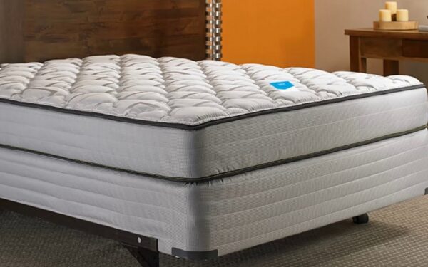 best mattress for scoliosis 2024 uk