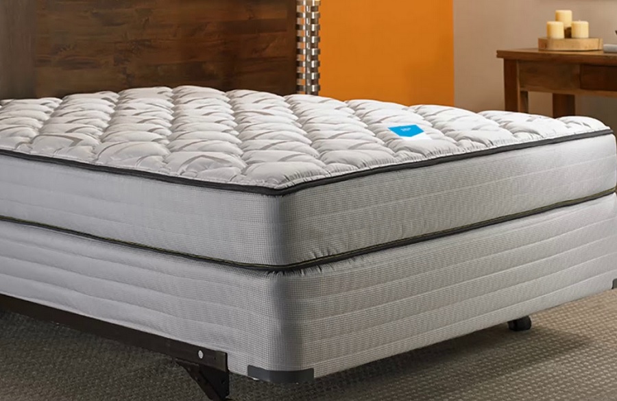 best mattress for scoliosis purple